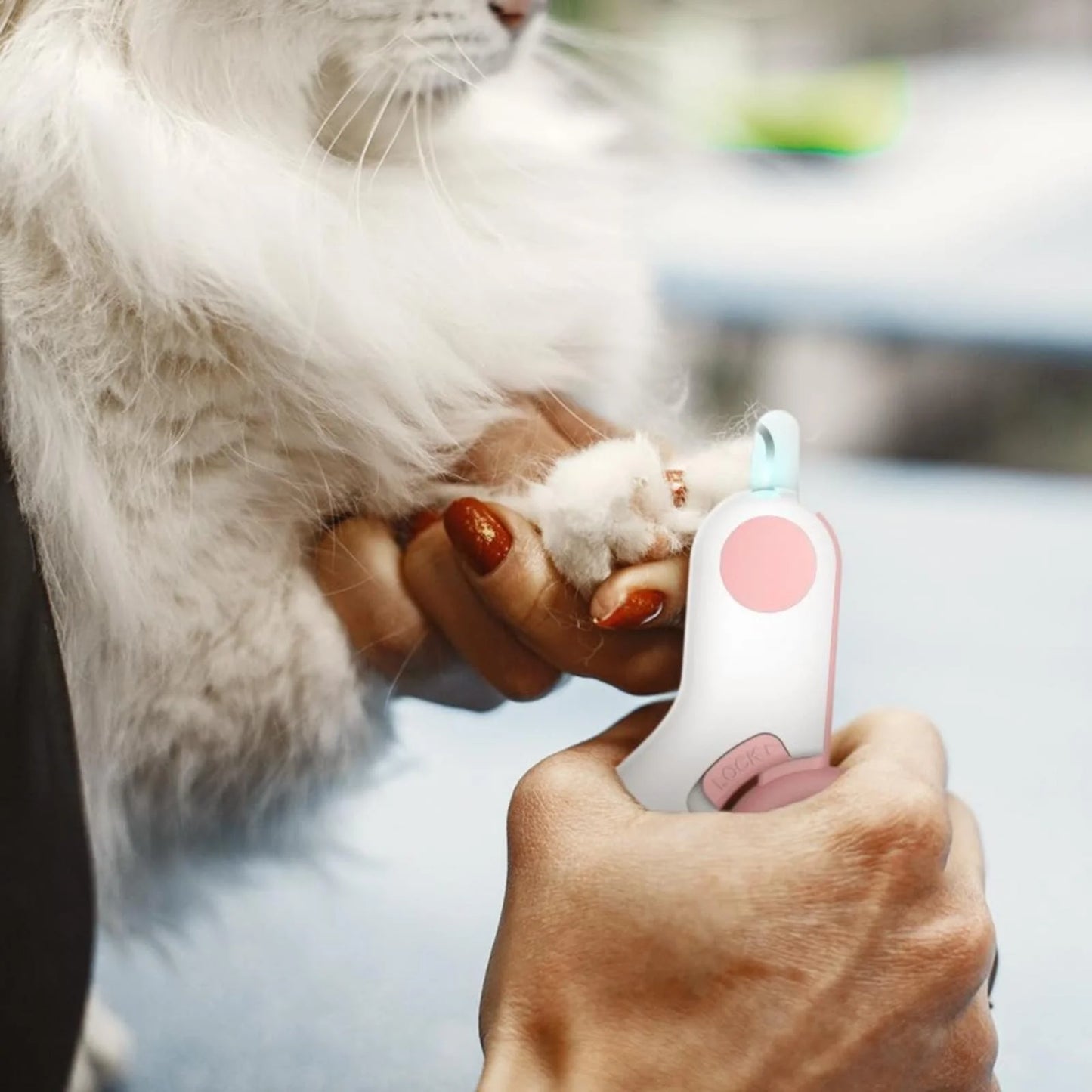 LED Pet Nail Clipper 2024 New Cat Nail Clipper with Super Bright LED Light Suitable for Cat Clippers Precise Cutting Beauty Tool Suitable for Indoor Cats Dogs Rabbits A