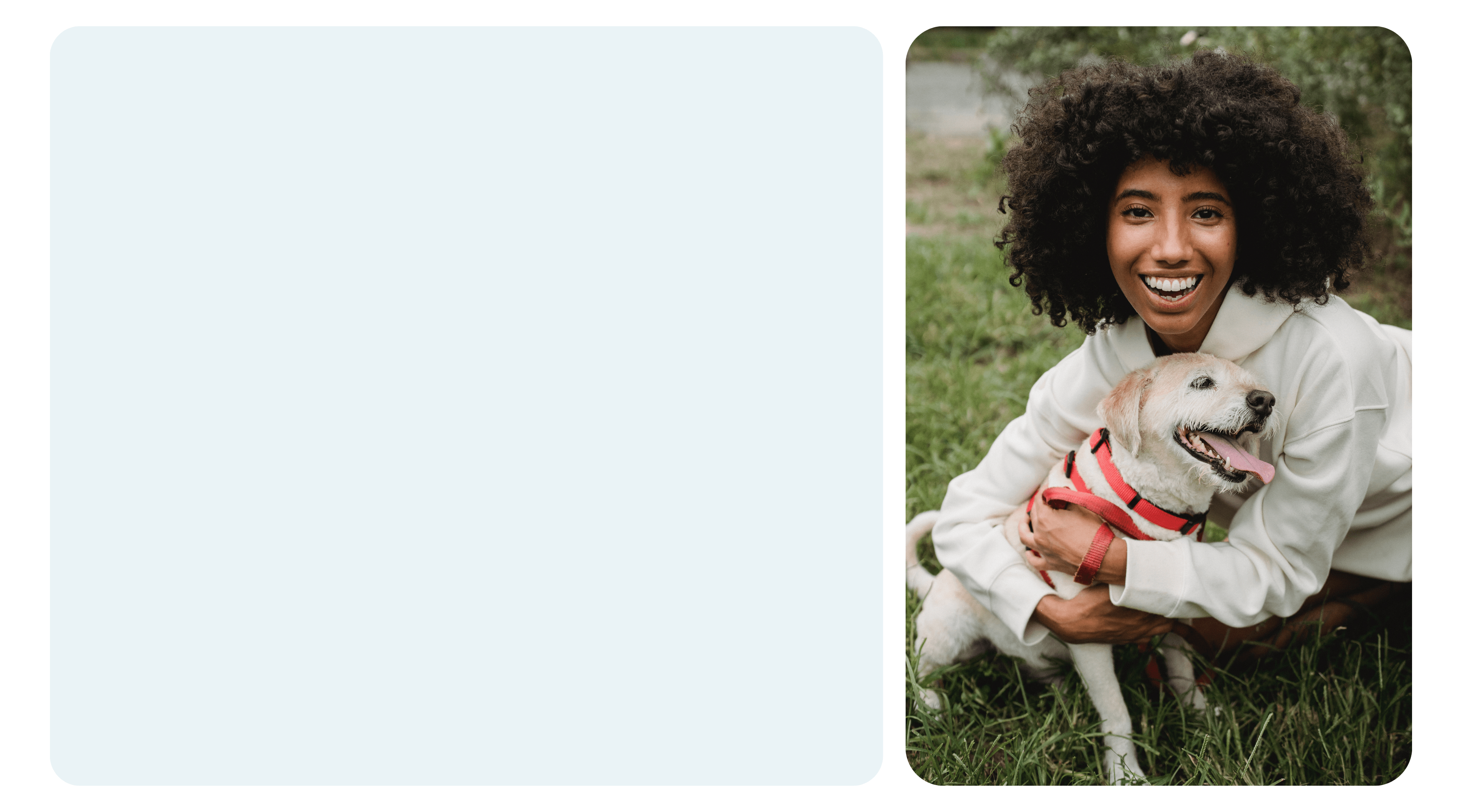 Petaboutus-overlay