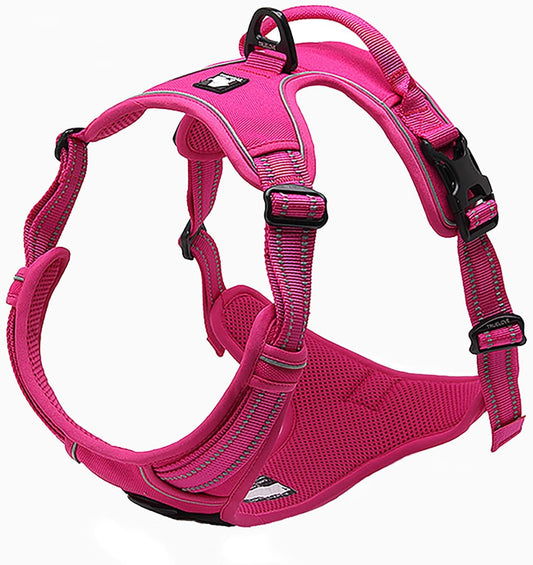 Truelove Adjustable No-Pull Dog Harness Reflective Pup Vest Harnesses Comfortable Control Brilliant Colors Tlh5651(Fushcia,Xs)